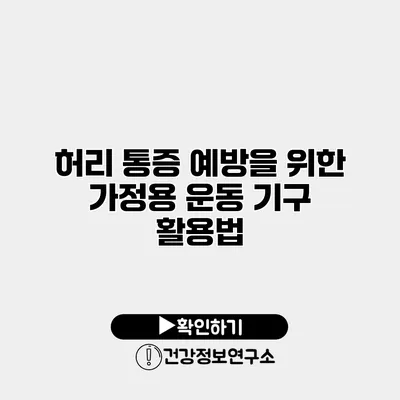 허리 통증 예방을 위한 가정용 운동 기구 활용법