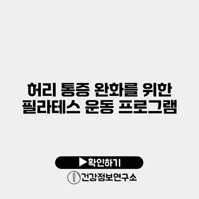 허리 통증 완화를 위한 필라테스 운동 프로그램