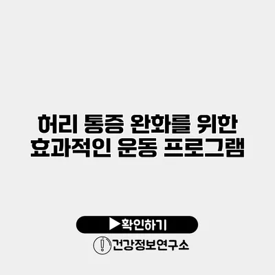 허리 통증 완화를 위한 효과적인 운동 프로그램