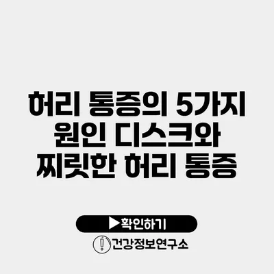 허리 통증의 5가지 원인 디스크와 찌릿한 허리 통증