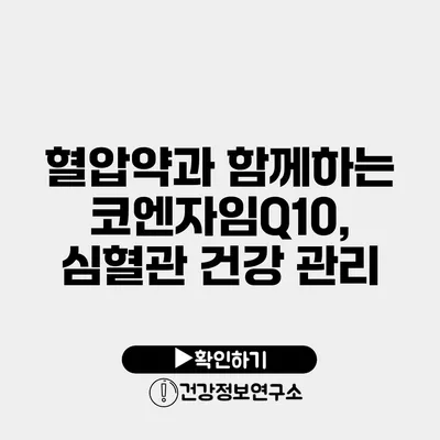 혈압약과 함께하는 코엔자임Q10, 심혈관 건강 관리
