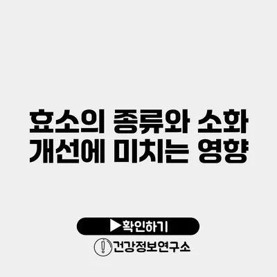 효소의 종류와 소화 개선에 미치는 영향