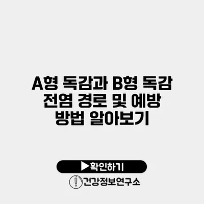 A형 독감과 B형 독감 전염 경로 및 예방 방법 알아보기
