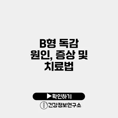 B형 독감 원인, 증상 및 치료법