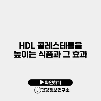HDL 콜레스테롤을 높이는 식품과 그 효과
