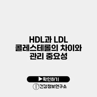 HDL과 LDL 콜레스테롤의 차이와 관리 중요성