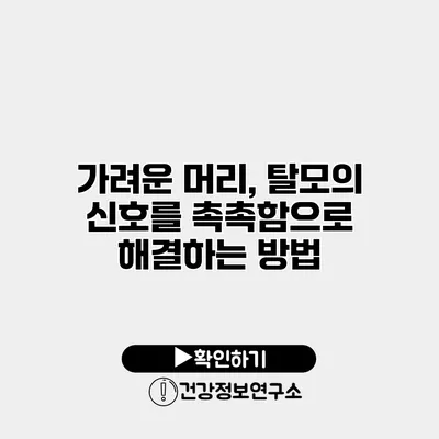 가려운 머리, 탈모의 신호를 촉촉함으로 해결하는 방법