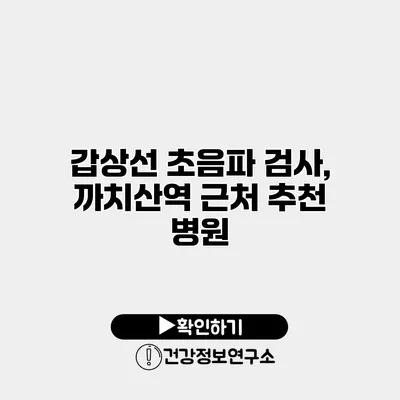 갑상선 초음파 검사, 까치산역 근처 추천 병원