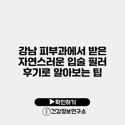 강남 피부과에서 받은 자연스러운 입술 필러 후기로 알아보는 팁