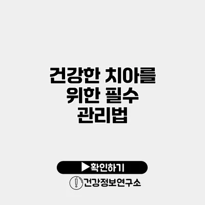 건강한 치아를 위한 필수 관리법
