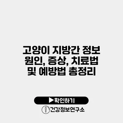 고양이 지방간 정보 원인, 증상, 치료법 및 예방법 총정리