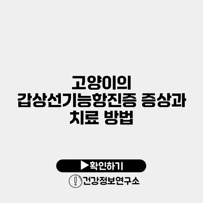 고양이의 갑상선기능항진증 증상과 치료 방법
