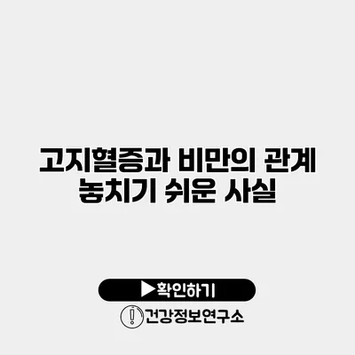고지혈증과 비만의 관계 놓치기 쉬운 사실