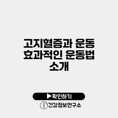 고지혈증과 운동 효과적인 운동법 소개