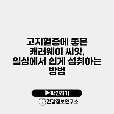 고지혈증에 좋은 캐러웨이 씨앗, 일상에서 쉽게 섭취하는 방법