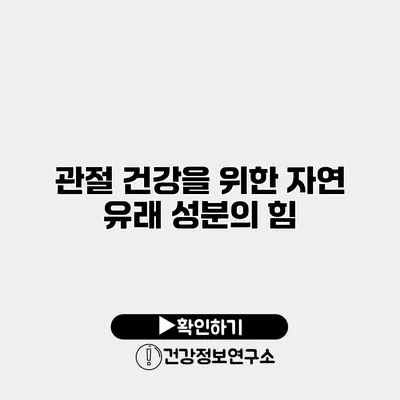 관절 건강을 위한 자연 유래 성분의 힘