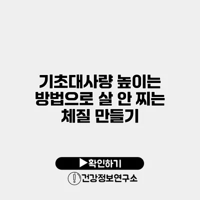 기초대사량 높이는 방법으로 살 안 찌는 체질 만들기