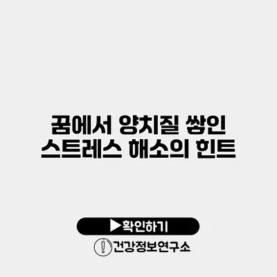 꿈에서 양치질 쌓인 스트레스 해소의 힌트