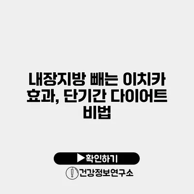 내장지방 빼는 이치카 효과, 단기간 다이어트 비법
