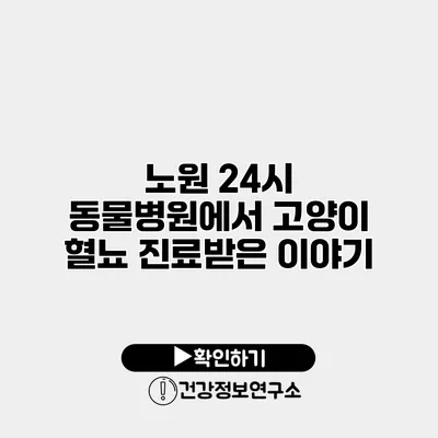 노원 24시 동물병원에서 고양이 혈뇨 진료받은 이야기