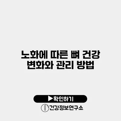 노화에 따른 뼈 건강 변화와 관리 방법