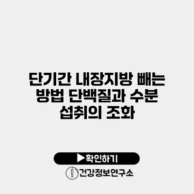 단기간 내장지방 빼는 방법 단백질과 수분 섭취의 조화