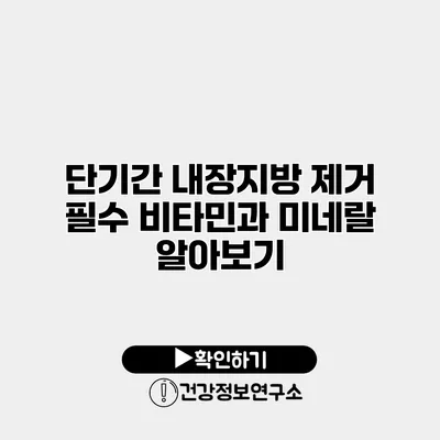 단기간 내장지방 제거 필수 비타민과 미네랄 알아보기