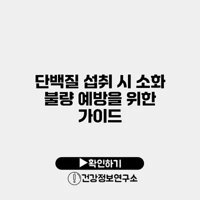 단백질 섭취 시 소화 불량 예방을 위한 가이드