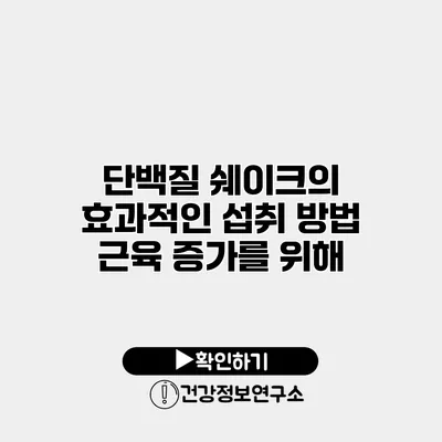 단백질 쉐이크의 효과적인 섭취 방법 근육 증가를 위해