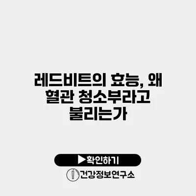 레드비트의 효능, 왜 혈관 청소부라고 불리는가?
