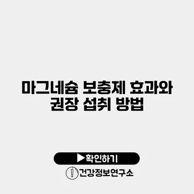 마그네슘 보충제 효과와 권장 섭취 방법