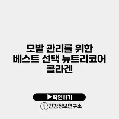 모발 관리를 위한 베스트 선택 뉴트리코어 콜라겐
