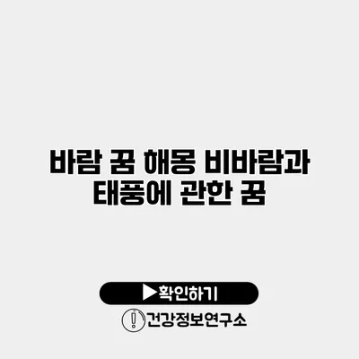 바람 꿈 해몽 비바람과 태풍에 관한 꿈