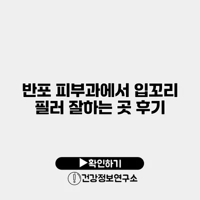반포 피부과에서 입꼬리 필러 잘하는 곳 후기