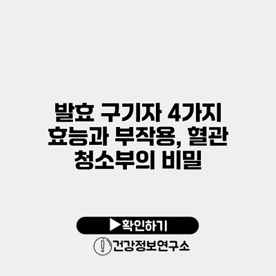 발효 구기자 4가지 효능과 부작용, 혈관 청소부의 비밀