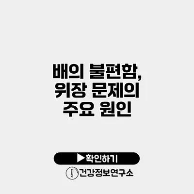 배의 불편함, 위장 문제의 주요 원인