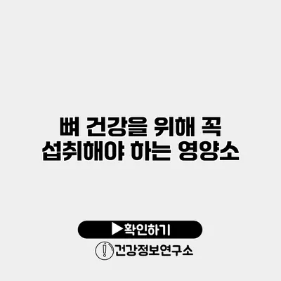 뼈 건강을 위해 꼭 섭취해야 하는 영양소
