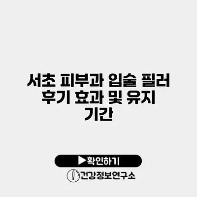 서초 피부과 입술 필러 후기 효과 및 유지 기간