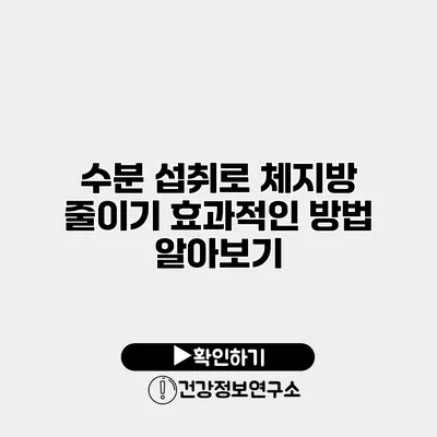 수분 섭취로 체지방 줄이기 효과적인 방법 알아보기