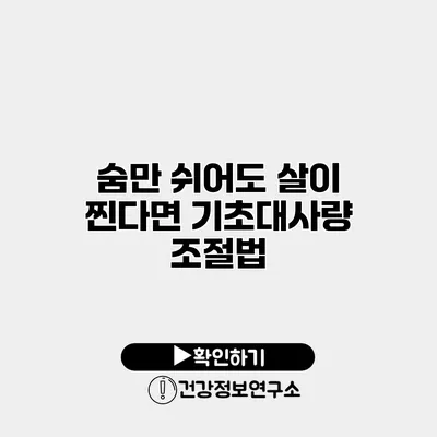 숨만 쉬어도 살이 찐다면? 기초대사량 조절법