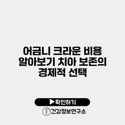 어금니 크라운 비용 알아보기 치아 보존의 경제적 선택