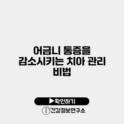 어금니 통증을 감소시키는 치아 관리 비법