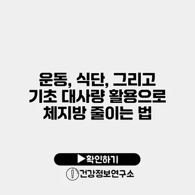 운동, 식단, 그리고 기초 대사량 활용으로 체지방 줄이는 법