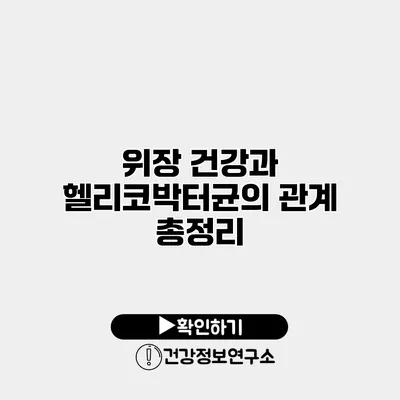 위장 건강과 헬리코박터균의 관계 총정리