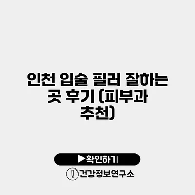 인천 입술 필러 잘하는 곳 후기 (피부과 추천)