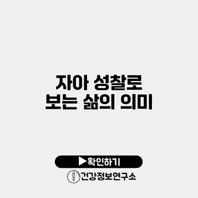 자아 성찰로 보는 삶의 의미