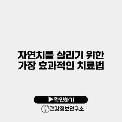 자연치를 살리기 위한 가장 효과적인 치료법