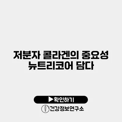 저분자 콜라겐의 중요성 뉴트리코어 담다