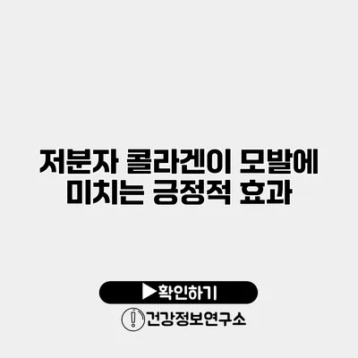 저분자 콜라겐이 모발에 미치는 긍정적 효과