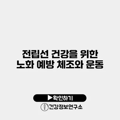 전립선 건강을 위한 노화 예방 체조와 운동